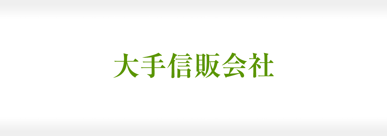 大手信販会社 成功事例 〜リニューアルでホームページのアクセス数が60倍、資料請求は30倍、申込件数は10倍に！