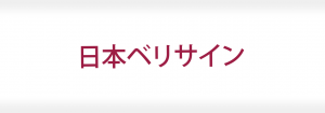 日本ベリサイン株式会社の成功事例