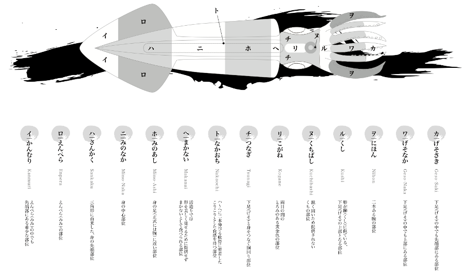 烏賊の部位の名前