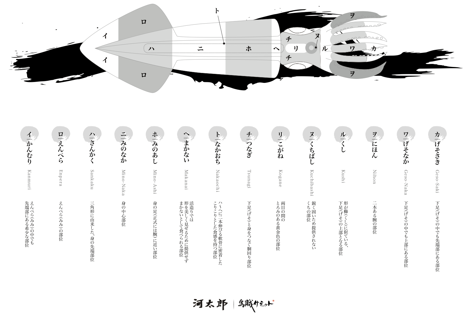 烏賊の部位の名前 発表 Webコンサルティング 株式会社ペンシル