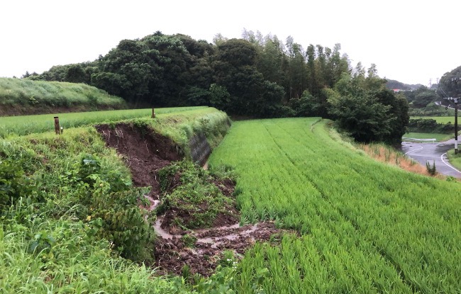 大雨の被害