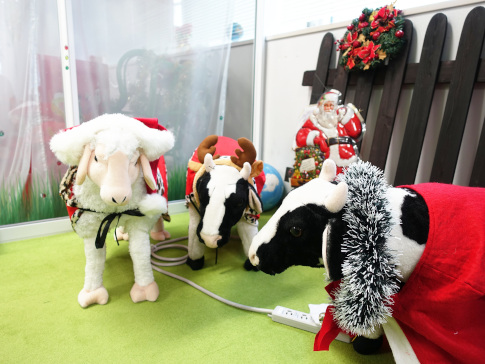 福岡オフィスクリスマス飾り付け