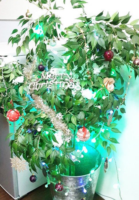 台湾オフィスクリスマス飾り付け