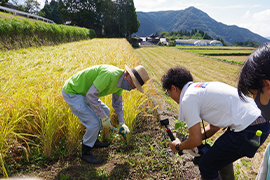 まずは鎌の使い方から