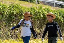 8歳の2人は初めての稲刈り