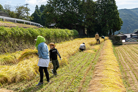 意外と広い！手刈りは大変