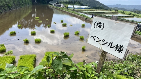 川内の棚田