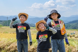 稲刈りの日を指折り数えて！