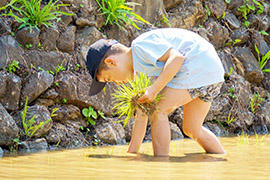 一束ずつ丁寧に真剣な眼差し！