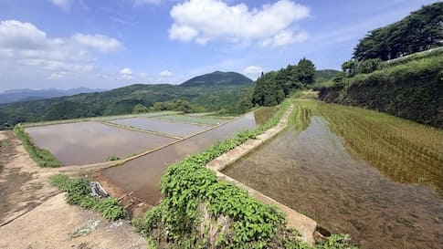梅雨入りとは思えない！青空の川内棚田へ