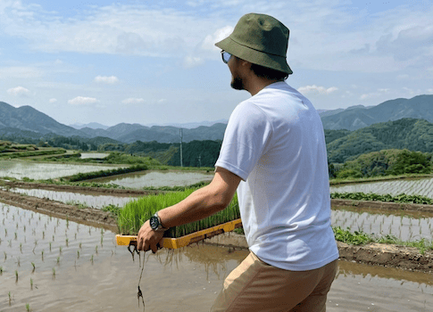 アルピットの田植え